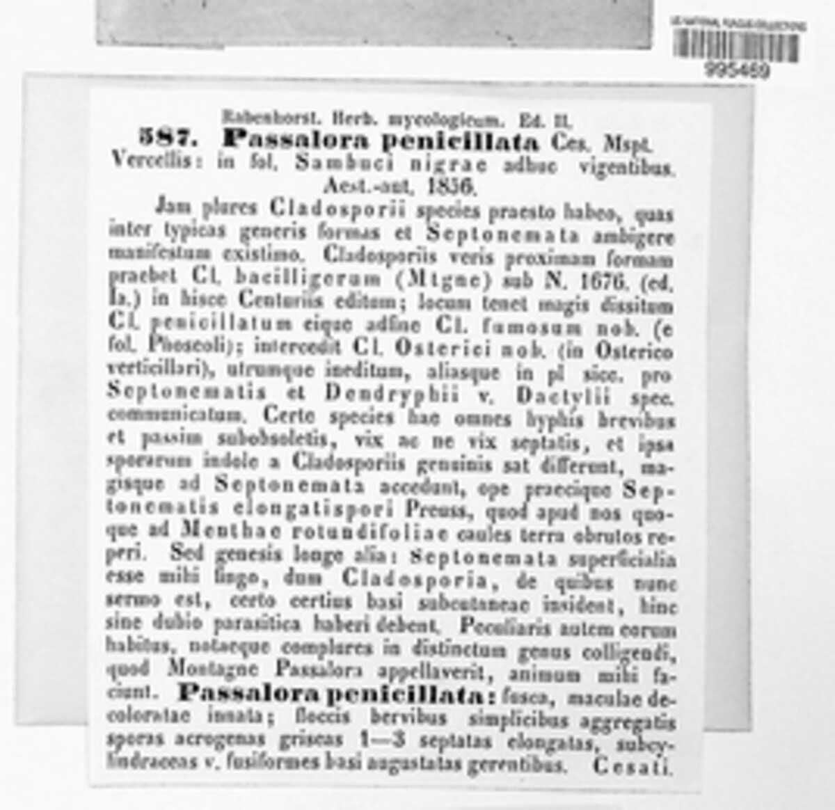 Passalora penicillata image